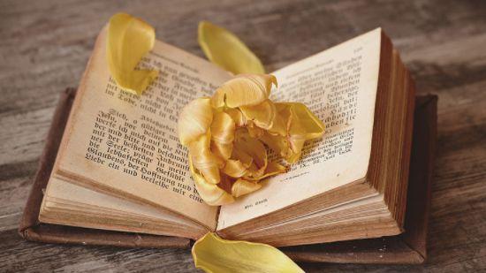 关。关于浪费时间的名人名言或诗句。