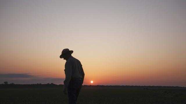 初中随笔作文400字以上