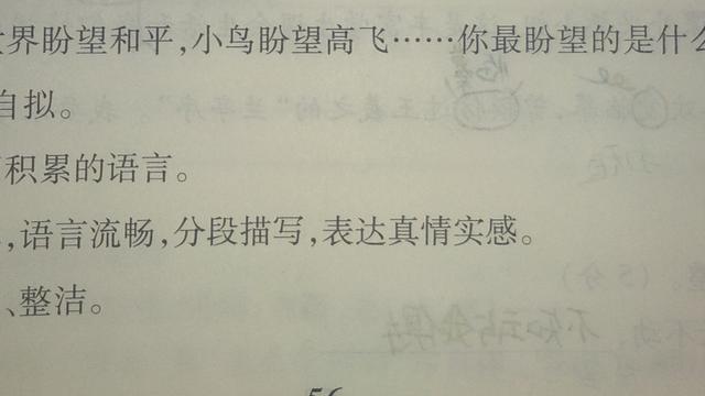 以年为话题写作文6篇