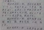 《妈妈的白头发》100字作文