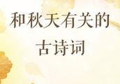 롰ϢʽйصĹʫЩ