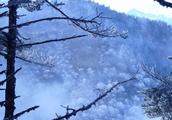 кĳЩ