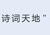 七言律诗句分首、颔、颈、尾四联，其中什么对仗