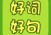 作文《月亮》600字