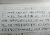 走进《丑小鸭》作文700字
