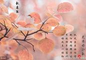 关于伤心的作文
