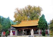 Drip fabaceous temple, one that of Jinan deep Qiu Li is golden