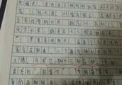 苹果说明文作文300字左石