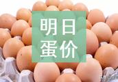 Tomorrow (on March 22) egg price is forecasted