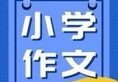 作文对人或事物的看法300字