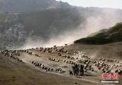 Of Xinjiang farming herdsman " how to reside " t
