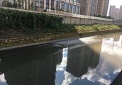Water system is black smelly, when does Kunming often carry grain river can restore beautiful appear