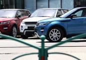 Flower intermediary: Foreign car look forward to is in China head win 
