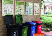 Dongguan defeats rubbish of the hutch that divide meal to tackle difficult problem