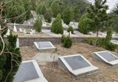 Violate inside beauty spot compasses building graveyard is 