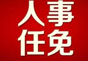 Be newest! Guangxi announces a batch of human affa