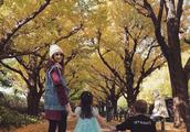 Kun Ling takes children ginkgo tree to play downstream, small Zhou Zhou wears blue princess skirt to