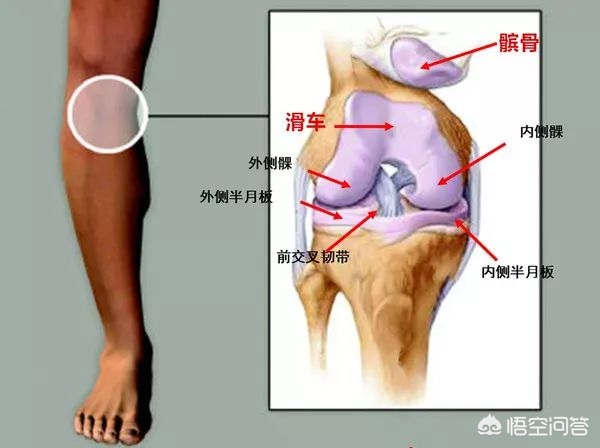 關節炎的癥狀有哪些（關節炎的癥狀有哪些表現）