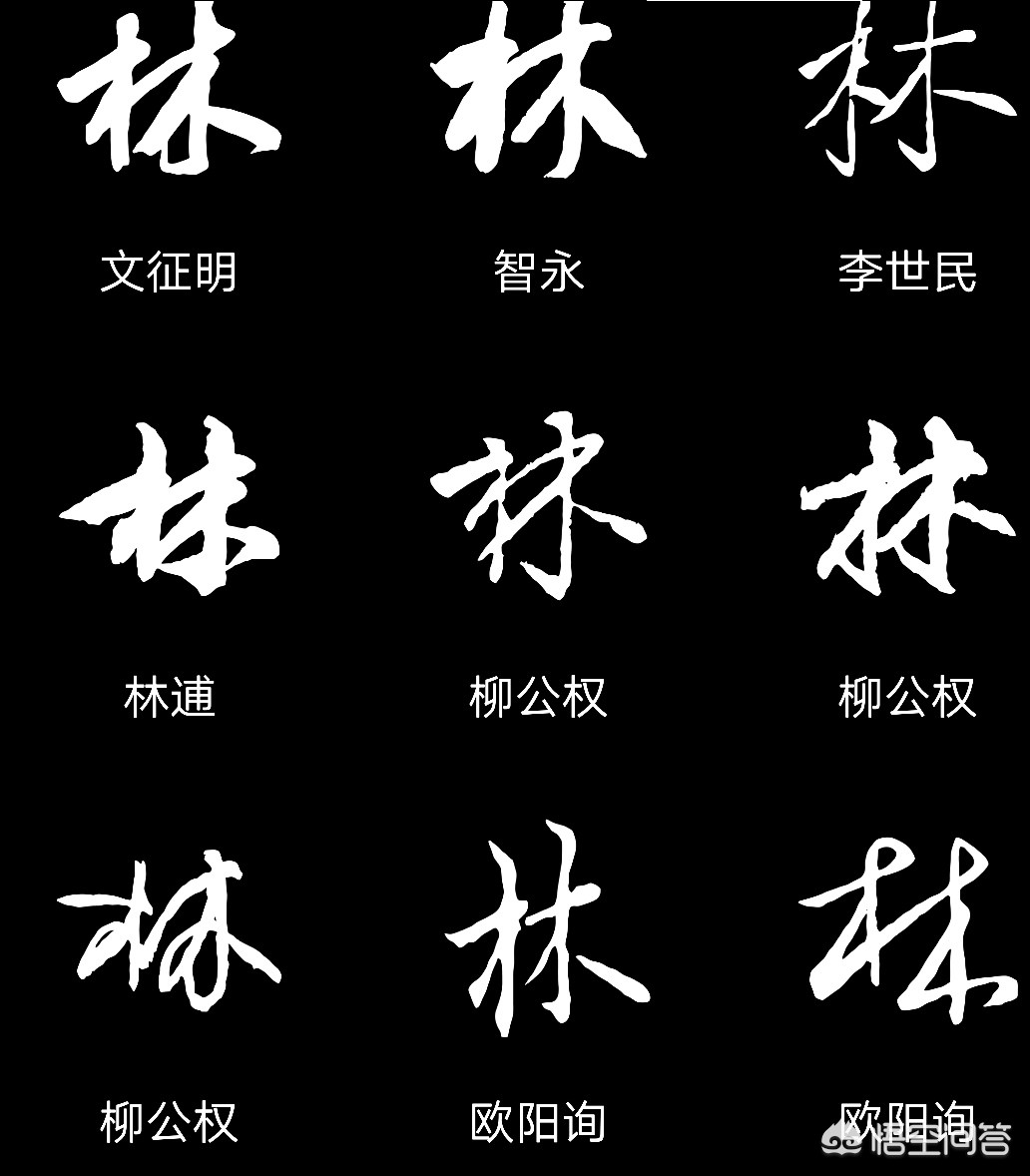中国汉字林字笔画教学动画视频图片素材-编号23176425-图行天下