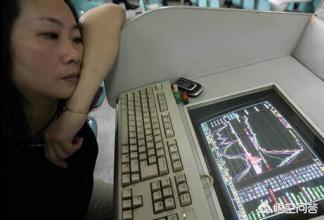 嘉实基金 谭丽,000870嘉实新收益混合
