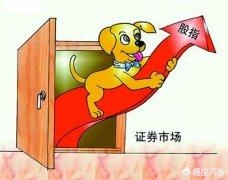 股票盘口1111「1111小高操作A股全线大涨差点错过反弹今天这样做」