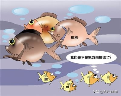 如何通过资金流向来选股,资金流入流出怎么选股