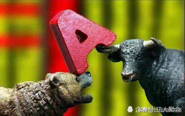 杨百亿股票「15楼财经|中国第一股民杨百万的股市传奇」