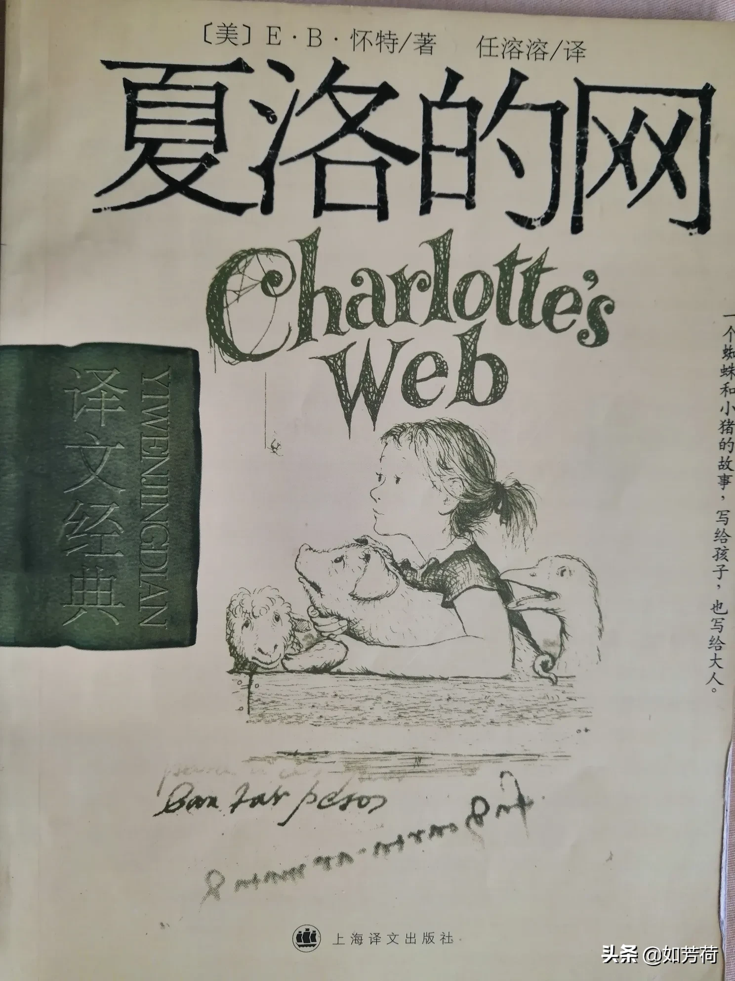 《夏洛的网》的好词好句和好段都有哪些？