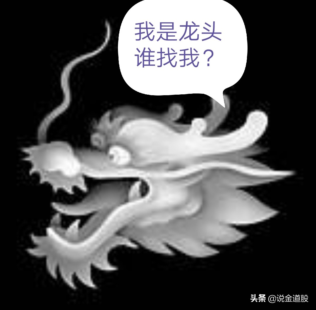 什么样的股票可以认定是龙头股票,股票龙头是什么意思