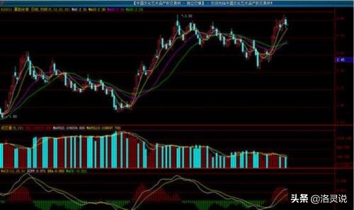 2021年普通人真正翻身的机会可能不在股市也不在楼市