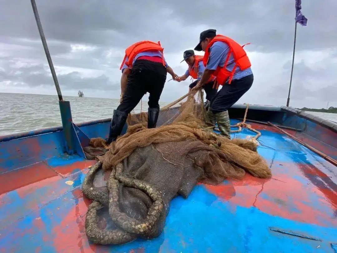 海猪是什么动物？渔民说的海猪是什么