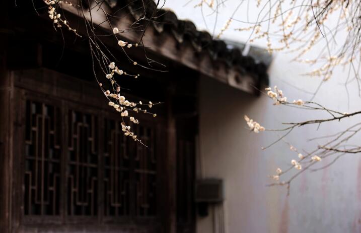炒股需要悟性,怎样提高理解力和悟性
