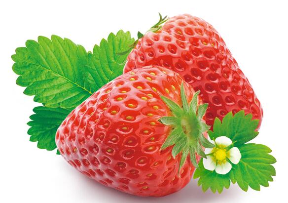 【草莓】只要多吃草莓就能充分补充维生素C -