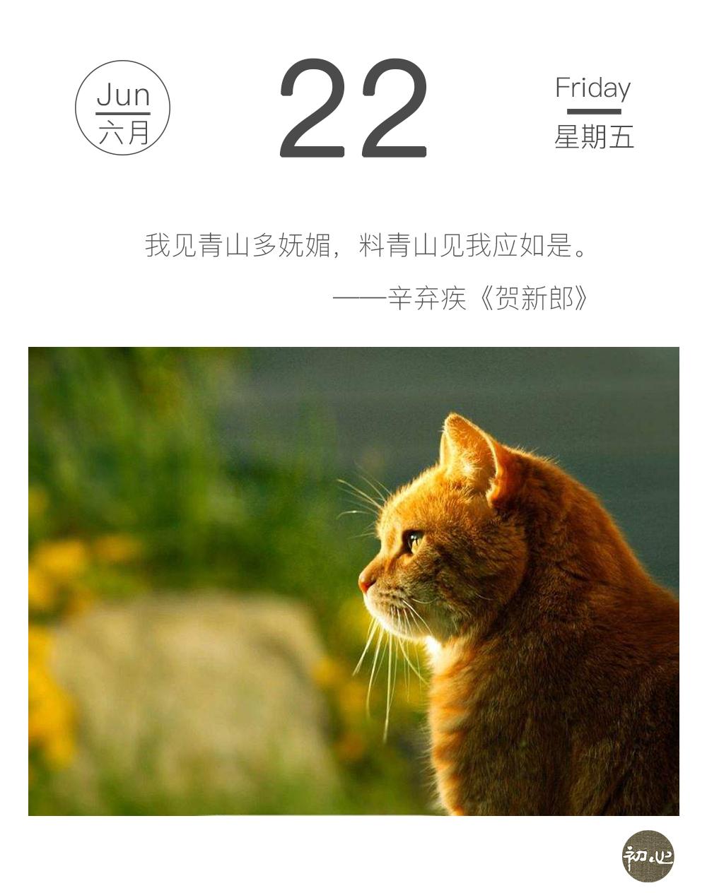 我见青山多妩媚,料青山见我应如是。 - 今日头