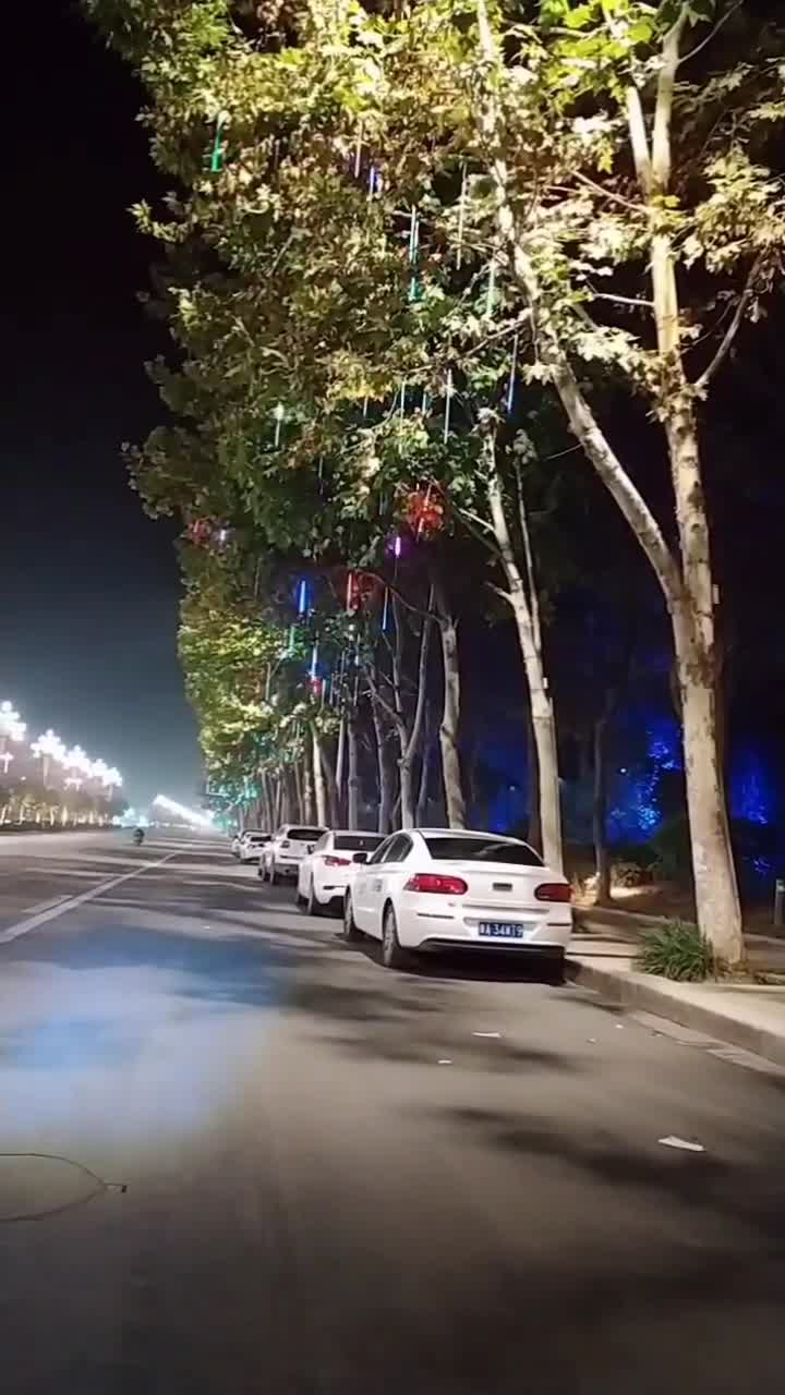 许昌天宝路夜景