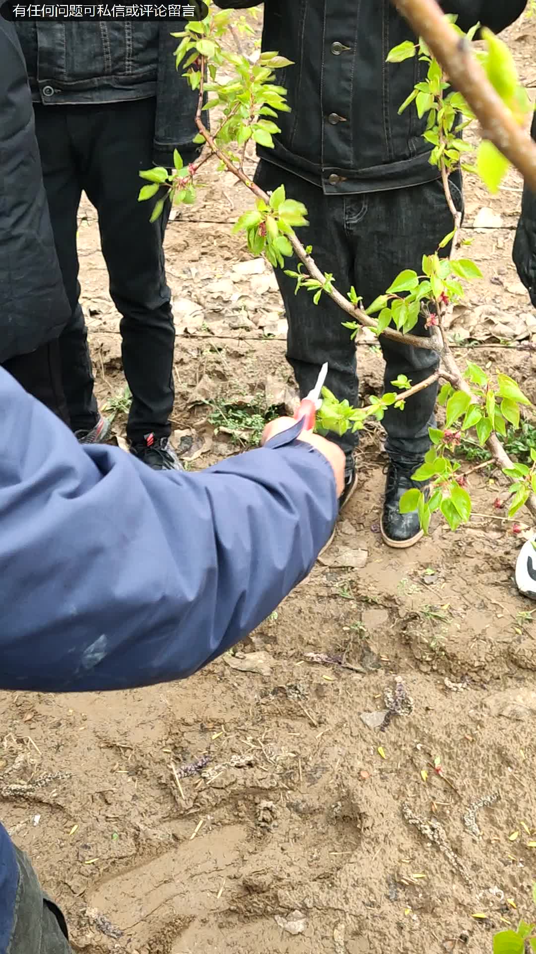 唐老师果园大课堂