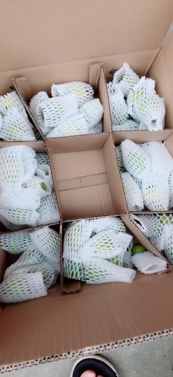 小农阿牛的个人主页 - 西瓜视频