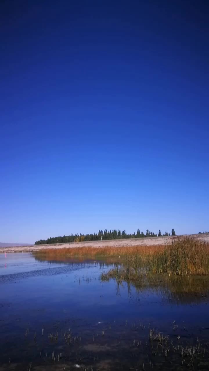 大地恩情