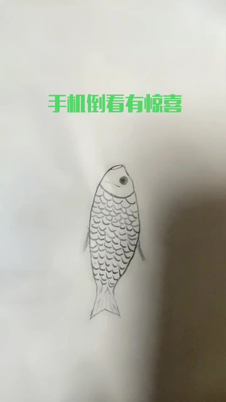 手机倒看有惊喜