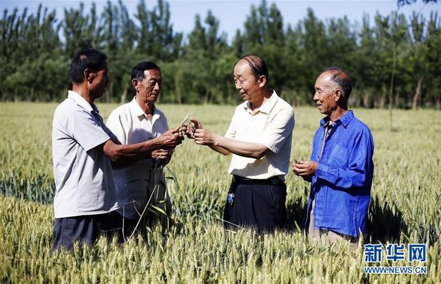 对支部班子意见建议