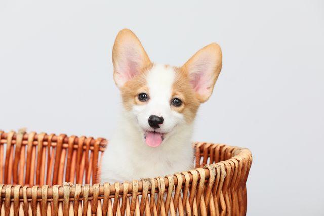 双均线交易系统