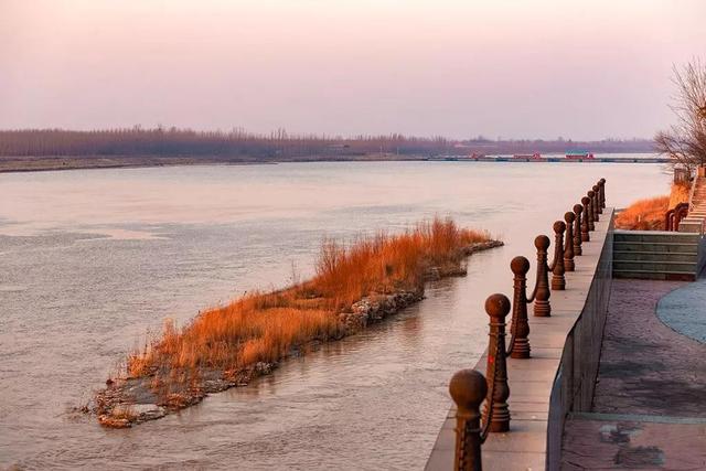 济南平阴段黄河温柔慈祥的母亲河