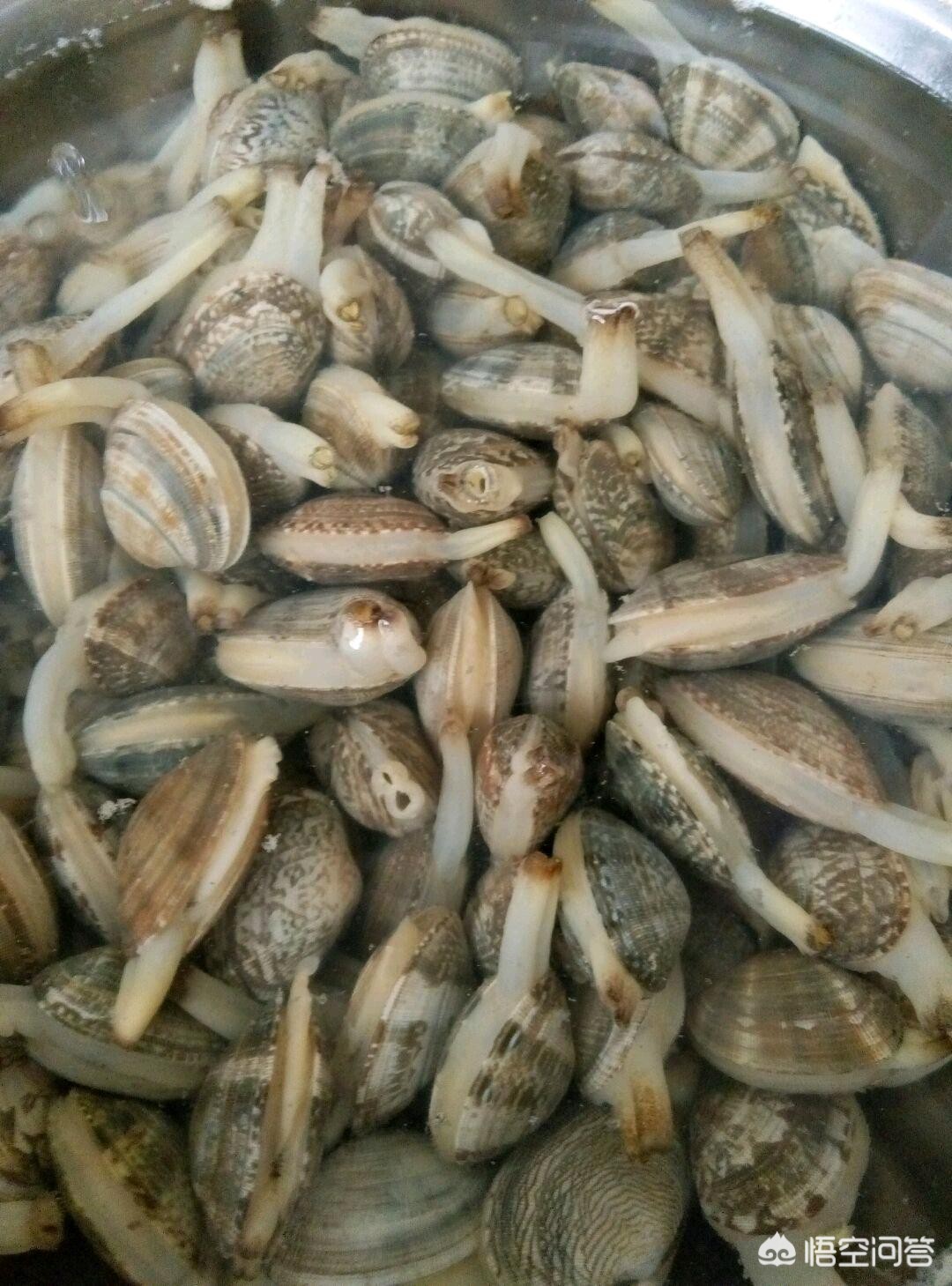 海鲜大花甲怎么做? - 头条问答