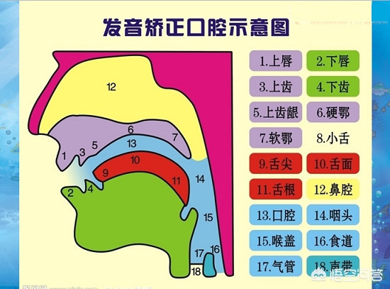 英语听力训练：如何在日常中提升你的耳朵