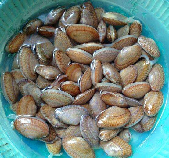 花甲要过油吗?怎么样? - 头条问答