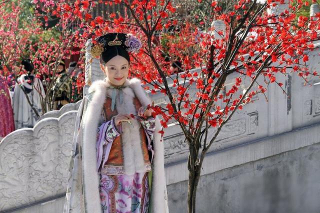 问《甄嬛传》宫宴上皇帝不愿看到梅花是因为什么?