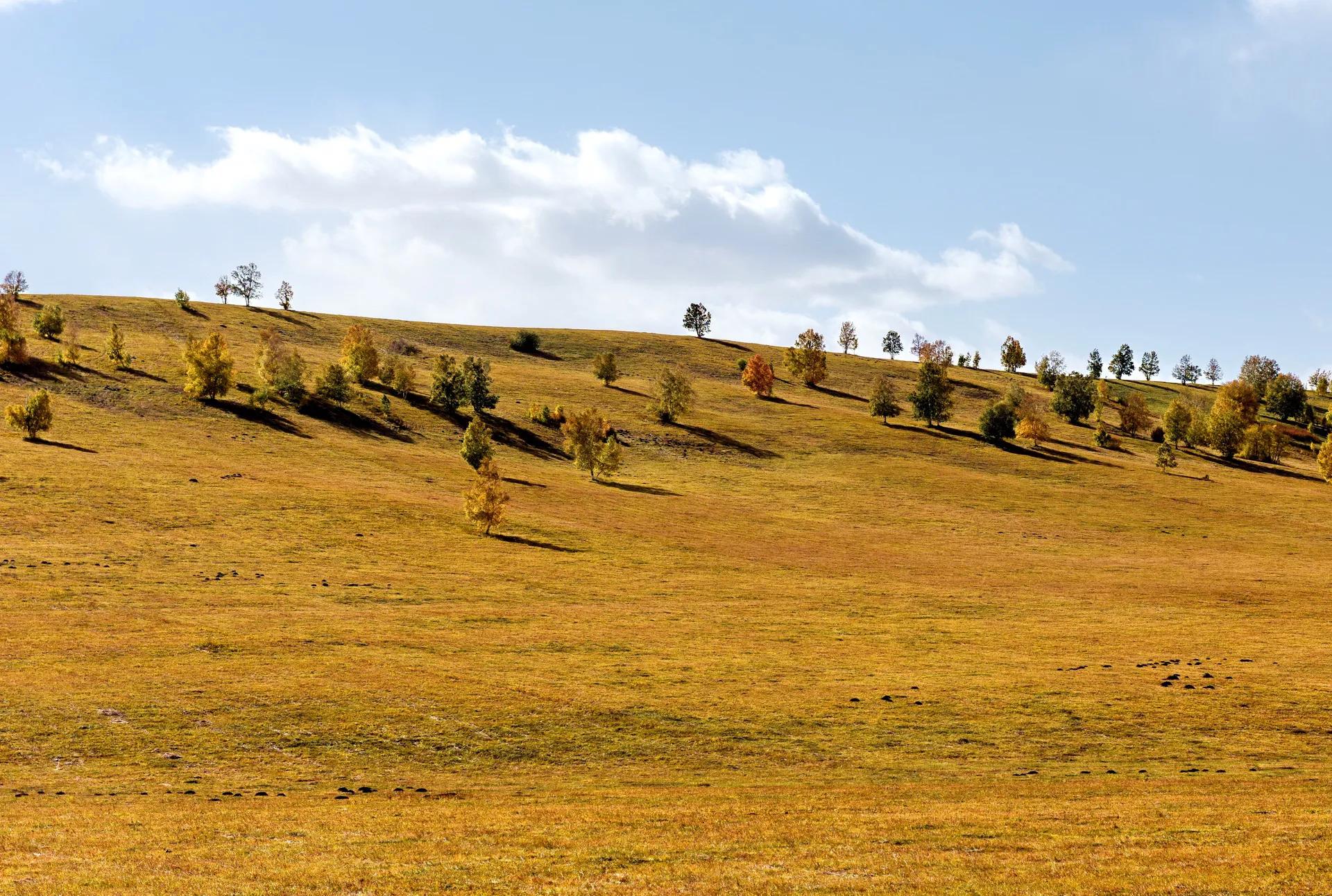 各位自驾游朋友,自驾去草原看看,乌兰布统跟塞罕坝公园都是收费的话
