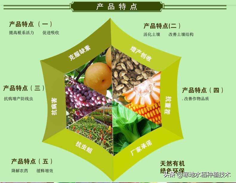 农业微生物产品