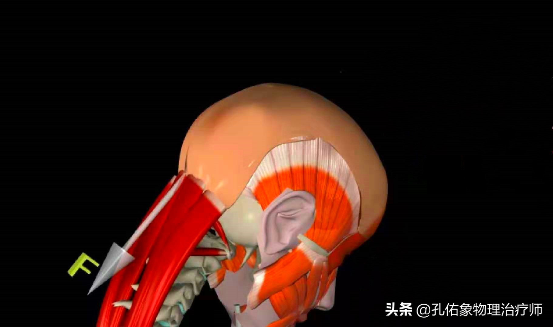 转动脖子的时候咔咔响是好还是坏?是颈椎病的象征吗?