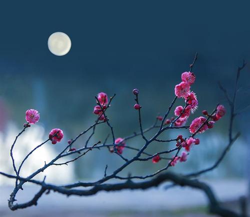 "轻风细柳,淡月梅花",在这两句诗中各加一个字作腰,加哪两个字最好?